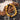 Golden Warrior Tiger Eye Bracelet - Gemini - Takara Mystic