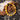 Golden Warrior Tiger Eye Bracelet - Scorpio - Takara Mystic